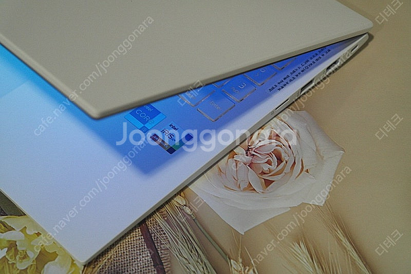 LG전자 울트라그램16 16ZD90P-GX5TK 판매합...--4