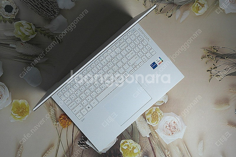 LG전자 울트라그램16 16ZD90P-GX5TK 판매합...--8