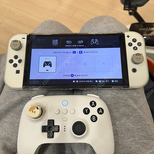 닌텐도 스위치 oled + 8bitdo + 게임팩