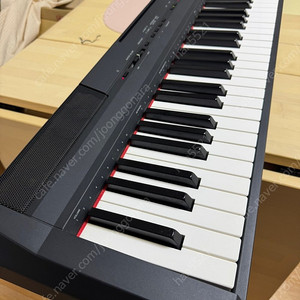 YAMAHA P-115 / 야마하 P115 디지털 피아노