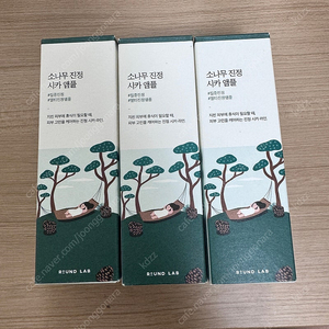 라운드랩 소나무 진정 시카 앰플 50ml