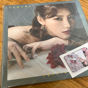 이바다 Special Edition LP 미개봉