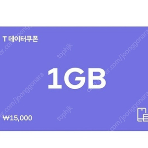 SK 데이터쿠폰 1GB