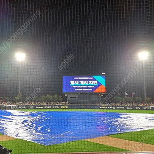 한국시리즈 1차전 서스펜디드 챔피언석 단석