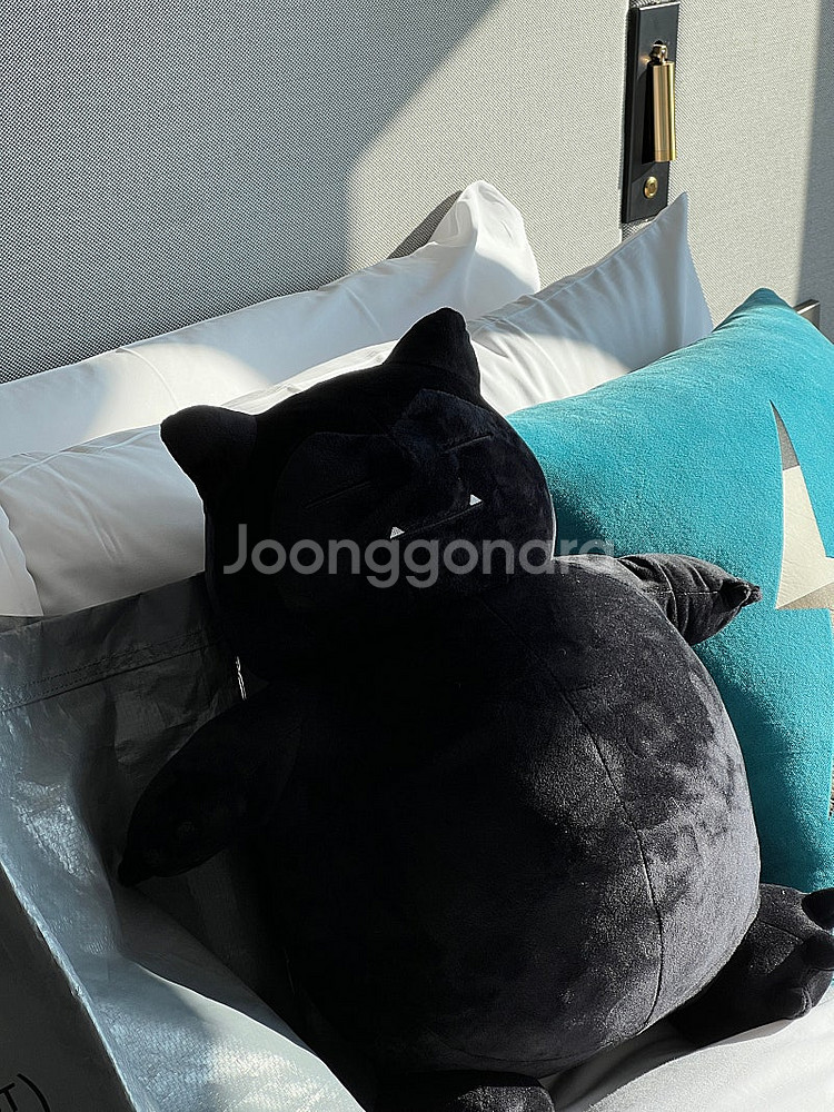 [한정판] 프라그먼트 썬더볼트 포켓몬 블랙 잠만보--1