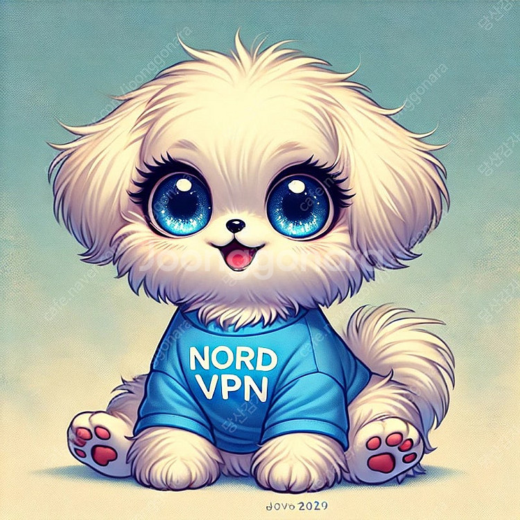 Nord VPN 2년 3개월 함께 할 파티원 모집합니다...--0