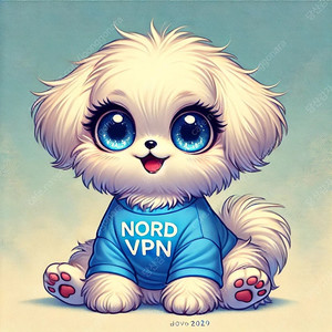 Nord VPN 2년 3개월 함께 할 파티원 모집합니다.​