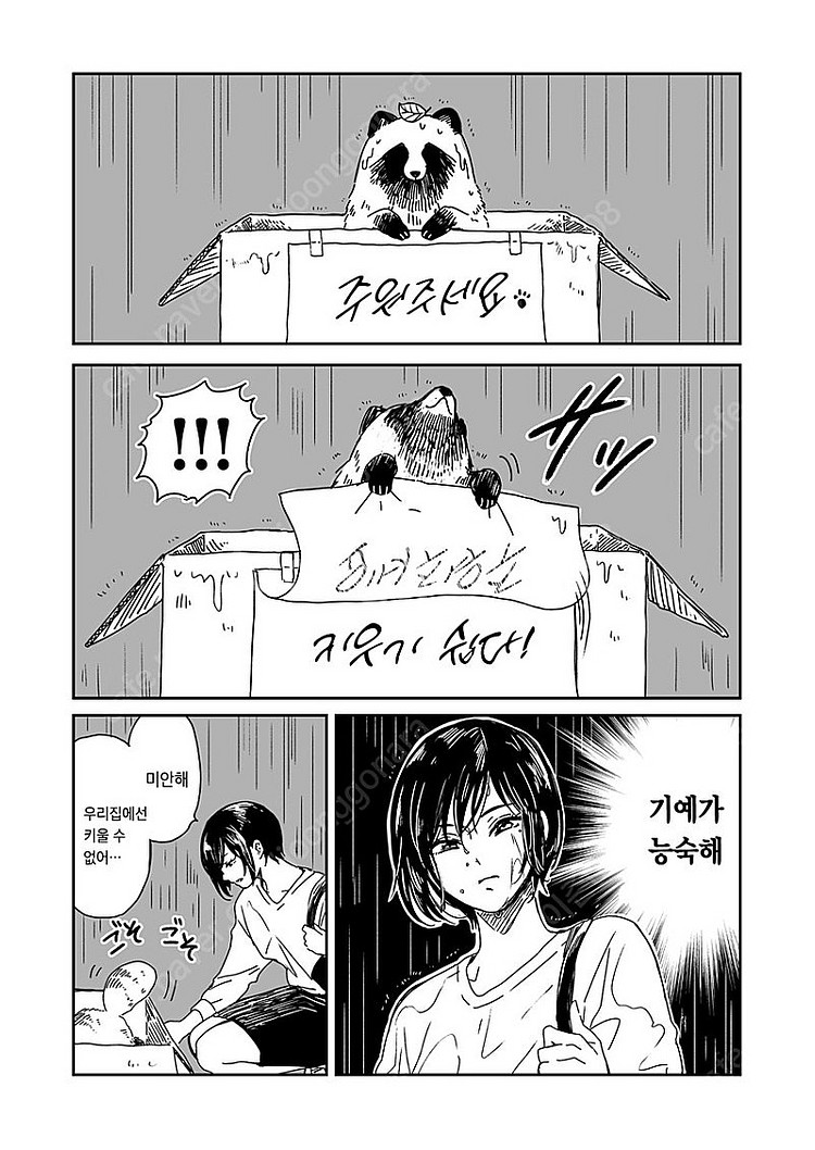 비와너와 1~4권--1