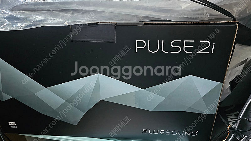Bluesound 블루사운드 PULSE 2i (추가: ...--2