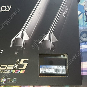 OLOy DDR5-6400 CL32 BLADE RGB Black (32GB(16Gx2))