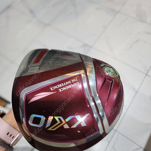 젝시오11 드라이버(MP1100K) - 병행아님정품) 인기 브로도색상, 여성, 시니어 인기 브랜드