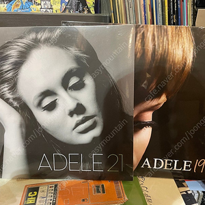 아델 (Adele) - 19, 21 미개봉 LP 2장