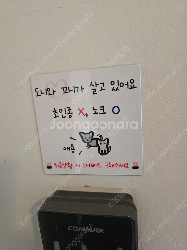 라팍상영회 2차전 테이블3연석이나 4연석삽니다--0