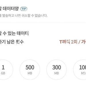 SKT 데이터 데이타 data 1GB 1기가당 2000원 (총 2기가 2GB, 총 4000원)​