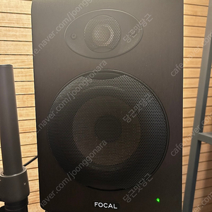 Focal shape 50 한 조 포칼