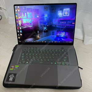 ROG 제피러스 G16 이클립스 그레이 • 라이젠9 • 1TB • 32GB • WIN11 Home