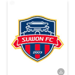 FC서울 vs 수원FC 원정석 10장