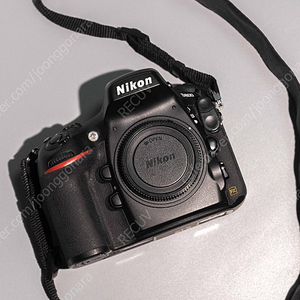 니콘 D800 DSLR 카메라