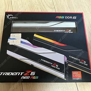 G.SKILL 지스킬 DDR5 6000 CL30 TRIDENT Z5 RGB 화이트 32GB(16GBx2)