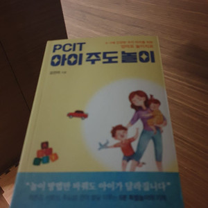 PCIT 아이주도놀이 : 3~7세 건강한 우리 아이를 위한 엄마표 놀이치료