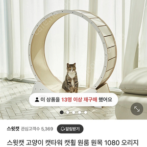 스윗캣 고양이 캣휠