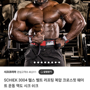 쉬크 리프팅벨트 3004 s사이즈 삽니다