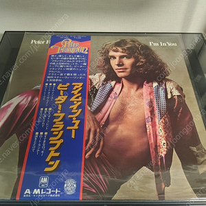 <수입 LP> 피터 프램튼 Peter Frampton 엘피