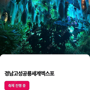 고성공룡엑스포 대인 1장