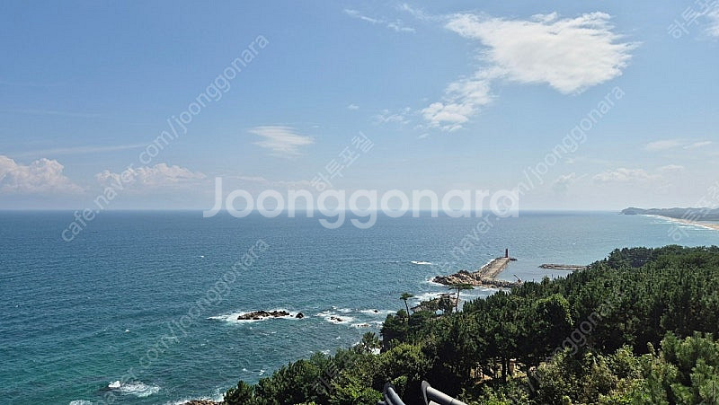 기아 삼성 3차전 외야지정석 4연석 3루(저)-1루 교...--0