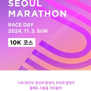 jtbc 10k 남자 배번 a그룹