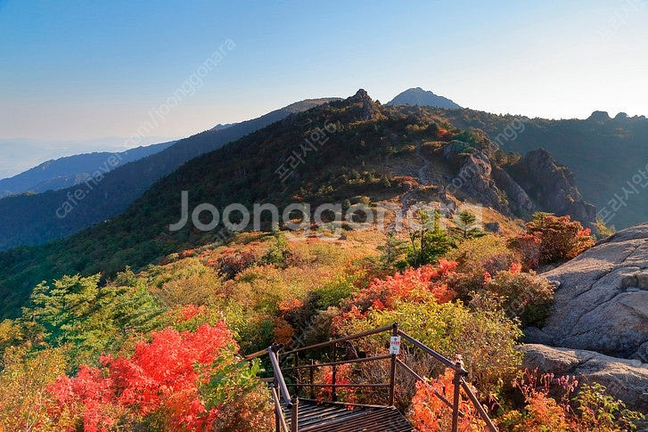 (11월2일9일16일) 단양 청송 경주 천안 오크밸리 ...--0