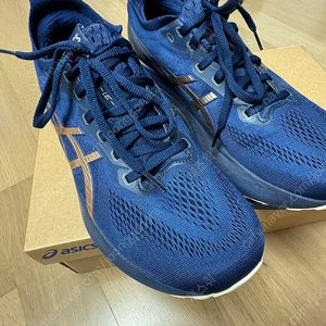 아식스 젤카야노31(GEL-KAYANO 31 PLATINUM) 사이즈 270