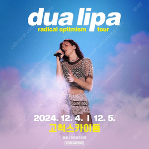 두아리파 Dua Lipa 내한공연 12/5(목) 스탠딩 앞쪽 2연번씩 양도합니다.