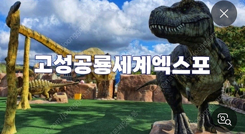 고성공룡엑스포 대인2+소인2--0