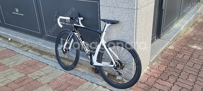 [청주] 2020 피나렐로 프린스 515사이즈 판매 가격내림--3