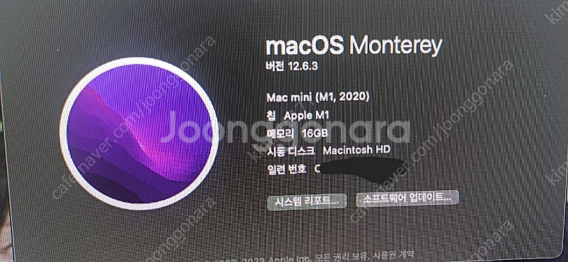 (초급처)맥미니 M1 16gb 1tb + hdd 1tb...--1
