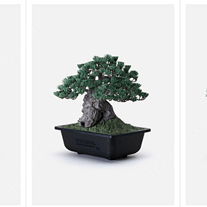 SRL X BANDAI SPIRITS . BONSAI MODEL KIT 분재 프라모델 반다이