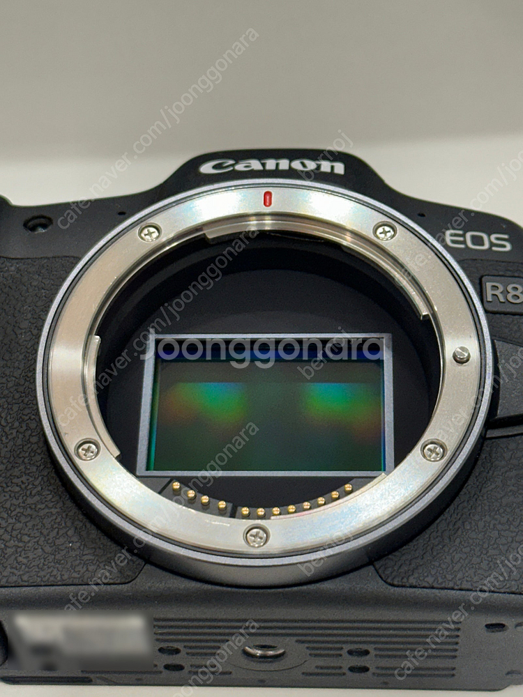 [가격인하] EOS R8 풀박스 // RF 24-70,...--5