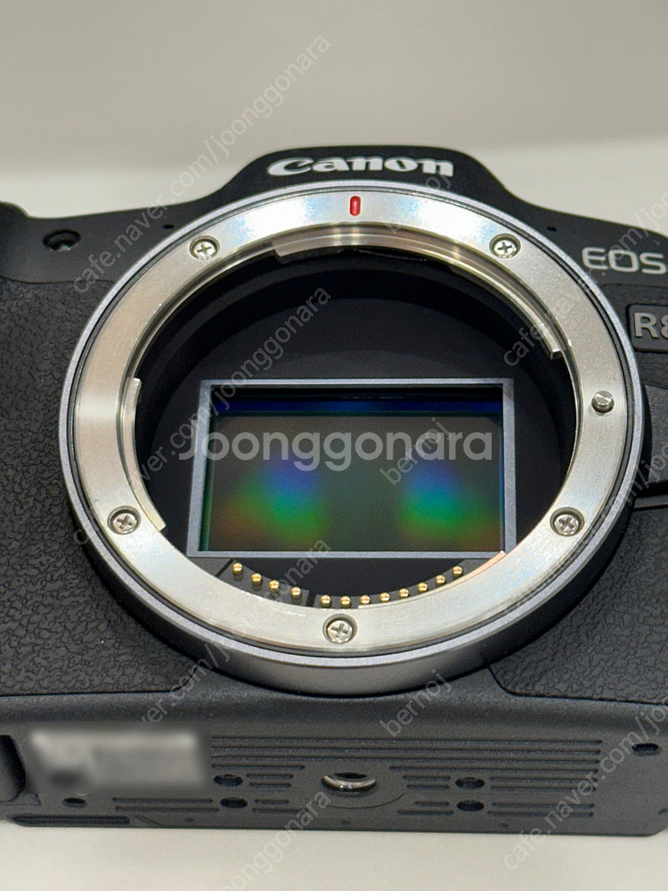 [가격인하] EOS R8 풀박스 // RF 24-70,...--6