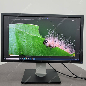 [DELL]델 U2311HB 23인치 (IPS LED) 모니터 팝니다