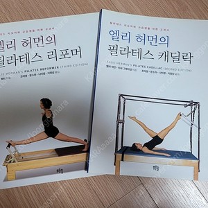 엘리허먼 리포머,캐딜락