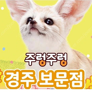 경주 주렁주렁