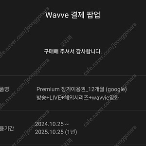 웨이브 wavve 1년 (24/10/25~25/10/2)