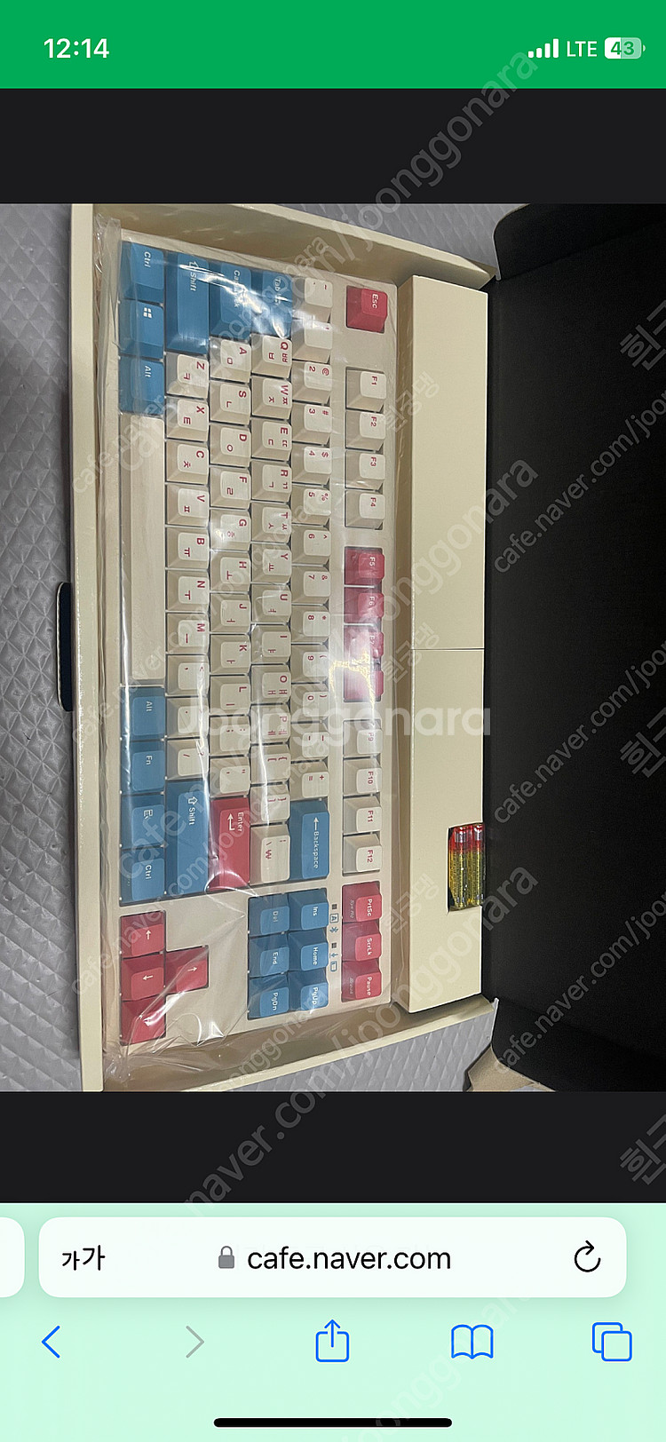 레오폴드 fc750rbt 코랄블루 갈축--1
