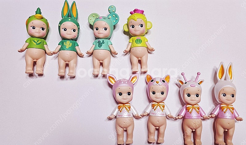 소니엔젤 2020 선인장 & 2014 모디--0