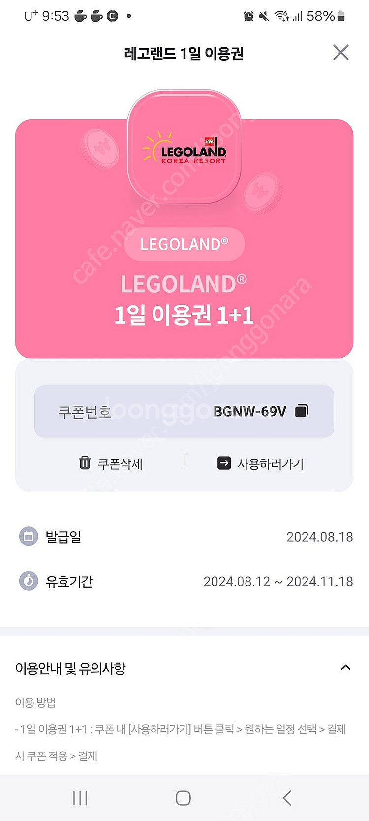 레고랜드 1+1 이용권--0