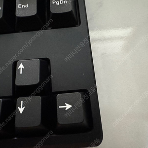 상구리 Frog TKL F12 WK + Venom MX 8K 빌드작 판매합니다.