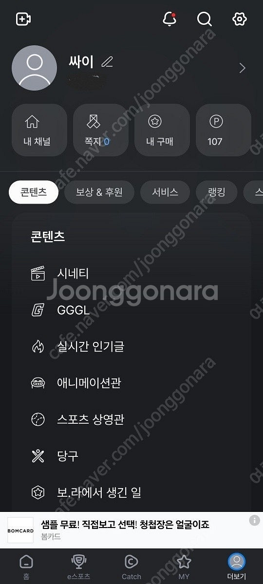 아프리카TV (숲) SSS급 닉네임 “싸이” 두글자 판...--0