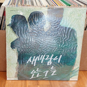 새바람이 오는그늘 LP