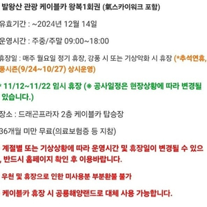 용평 케이블카, 딥다이브 성인2매+소인2매